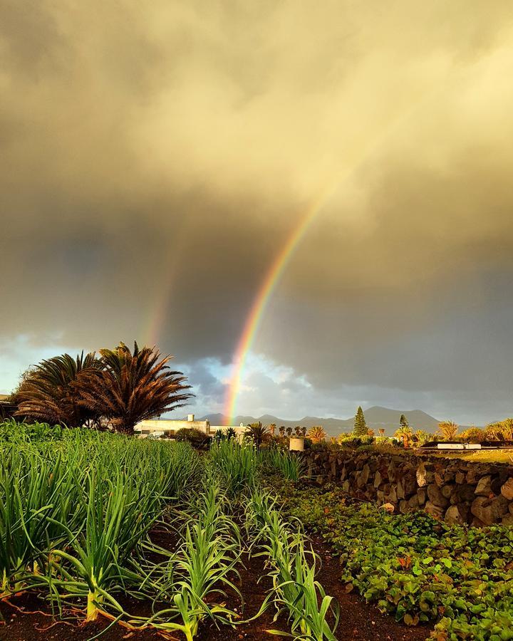 B&B La Mimosa Teguise  Exteriör bild